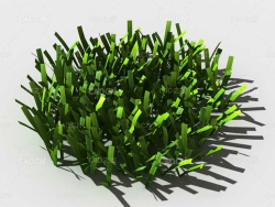 草坪草地绿草植物C4D模型 lawn-grass-i2