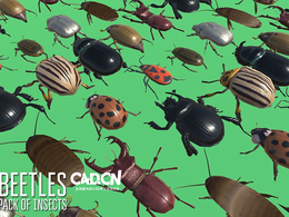 60个甲虫昆虫3D模型 Insects and Beetles Pack