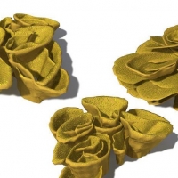 三个海洋植物C4D模型 Turbinaria reniformis Yellow Scroll Coral