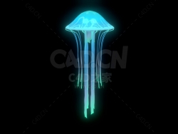 水母 Jellyfish-2
