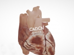 完整心脏C4D模型 Cardiac Anatomy-external view
