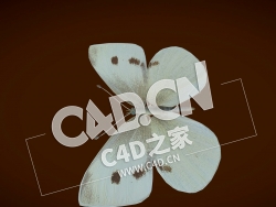 C4D小蝴蝶模型 Small Butterfly