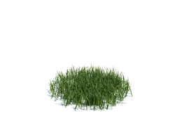草地小草植物杂草模型下载simple grass medium v2