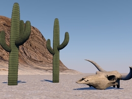 仙人掌与牛头骨C4D模型 Cactus Skull