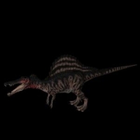 恐龙3D模型：棘背龙（Spinosaurus）