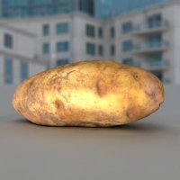 土豆3D模型 POTATO (3D SCANNER)