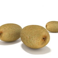 猕猴桃C4D模型 Yangtao Kiwifruit