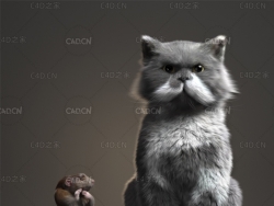 老鼠和猫C4D模型 Rat and Cat