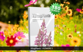 植物花朵盆栽3D模型 Xfrog Plants – Flowers 3