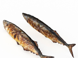 烧烤秋刀鱼c4d模型下载