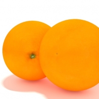 橙子C4D模型 orange