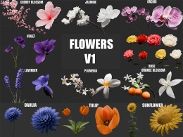 精选高品质写实花卉3D模型合集 含C4D和Blender格式支持动画拓展 多品种逼真还原适合多场景应用Blooming Flowers V4.1