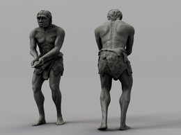 人类祖先-猿人 海德堡人C4D模型 Homo Heidelbergensis Model