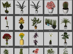 20个盆景C4D模型预设（lib4d） bonsai 3d models