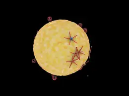 C4D医学动画工程文件:细胞表面受体 Cell Surface Receptors