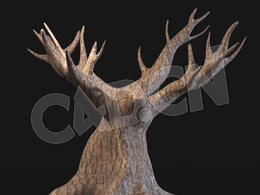8个枯树杆模型+117个ZBrush笔刷预设 Artstation – Tree Maker