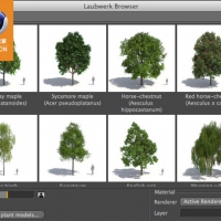 C4D与3dsmax真实植物场景模型包插件 Laubwerk Plants Kits 1 and 2 支持Win Mac