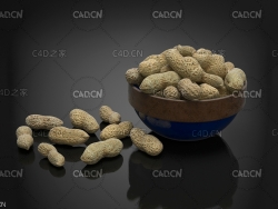 成熟的花生 Peanuts 落花生 长生果 泥豆 番豆 地豆