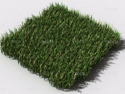 野草植物C4D模型 pattern_wild-grass-9