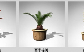 室内盆栽3D模型 XfrogPlants- HOUSEPLANTS