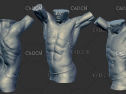 男性身体躯干C4D模型 torso sculpture