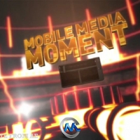 【中文语音翻译教程】《Lynda琳达C4D R14全面教程（下部）》