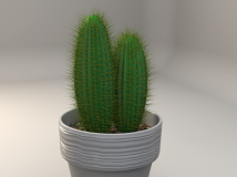 仙人球C4D模型 仙人掌盆景 Cactus