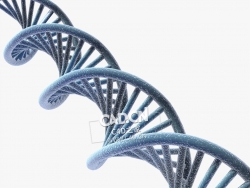 DNA链基因链生物细胞分裂创意模型 DNA strand