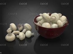口蘑 冬菇 香菇 白蘑菇 Mushrooms