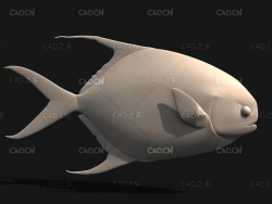 鲳鱼C4D模型 Pomfret