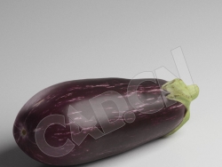 C4D茄子紫茄模型 Eggplant