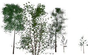 低面树木C4D模型 Trees Saplings low-poly 3d model