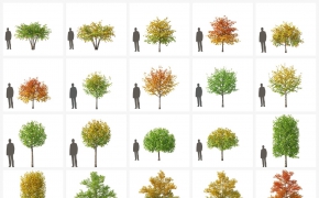 140个高精树木C4D模型合集 vrayc4d – HQ Plants vol.4 for Cinema4D