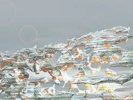 C4D海面上腐蚀的科幻网格创意工程 COBWEB CONSTRUCT