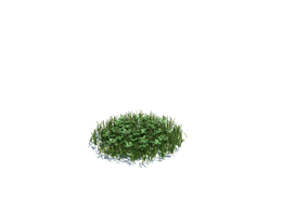 野草植物杂草模型下载simple grass medium v2