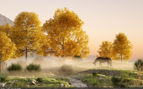 C4D园林场景岩石风景植物生成插件 Laubwerk SurfaceSPREAD v1.0.44