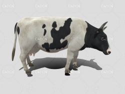 C4D奶牛模型cowanimateduntitled