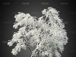 枝头挂满冰雪的树C4D模型HeliosVegetation Vol.2