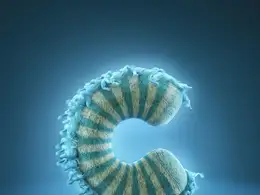 C4D毛发文字“C”创意海报设计工程