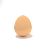 鸡蛋C4D模型 Egg