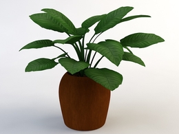 室内装饰植物C4D模型(9) Interior plants 3d model