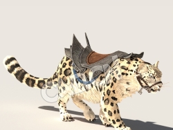 C4D豹子美洲豹金钱豹花豹模型（包含骨骼绑定动画) leopard_A01_SK 3D Model
