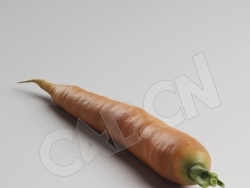 C4D蔬菜胡萝卜模型 Carrot