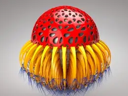 C4D镂空圆球抽象工程 Beginner Random Abstract Modeling