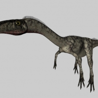 恐龙C4D模型：腔骨龙 Coelophysis