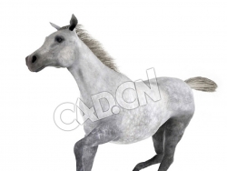 奔跑的马灰色马C4D模型