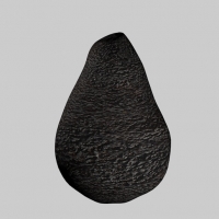 鳄梨3D模型 Avocado 3D model