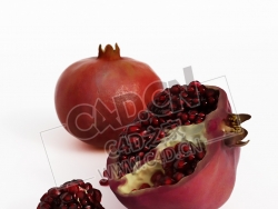 红石榴一半水果石榴籽C4D模型 pomegranate
