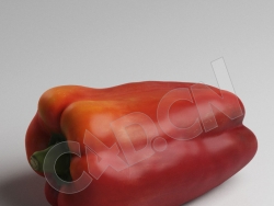 C4D红色灯笼椒蔬菜模型 Pepper