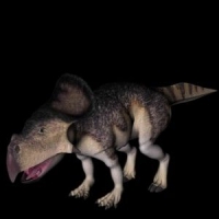 恐龙3D模型：原角龙（Protoceratops）